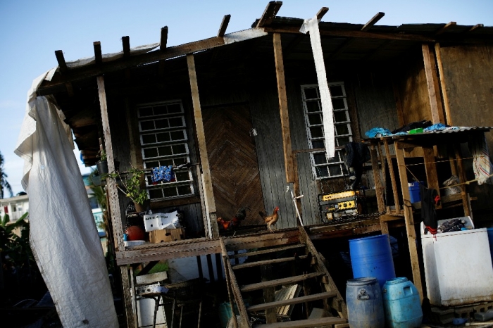Kyllinger på trappa, i et hus som delvis ble skadet i orkanen Maria i 2017, i landsbyen VIlla Hugo i Canovanas, Puerto Rico. Denne landsbyen er en bosetting som ble til etter orkanen Hugo i 1989, som ødela deres hjem totalt.																	REUTERS/Carlos Garcia Rawlins