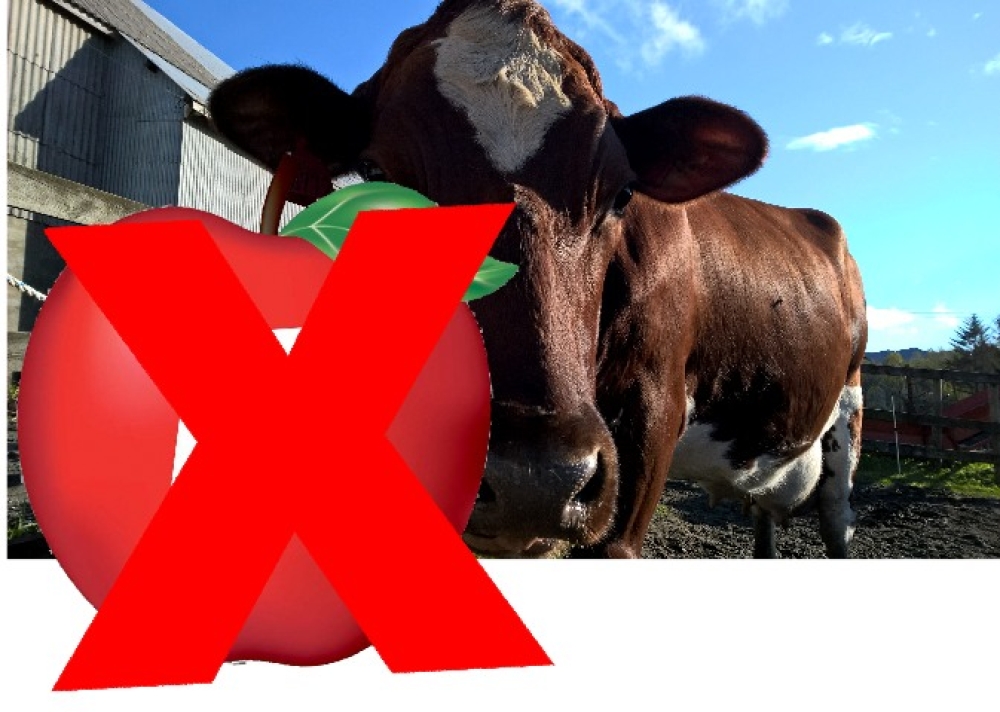 Skal vi ha et jordbruk uten bønder?