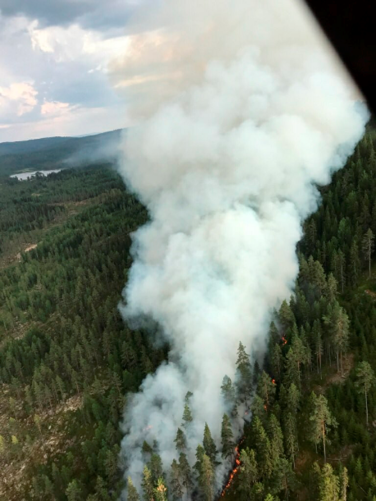 Skyldes det innvandring? Skogbrann i Greinberget i Hedmark.															Foto: Helitrans / NTB scanpix
