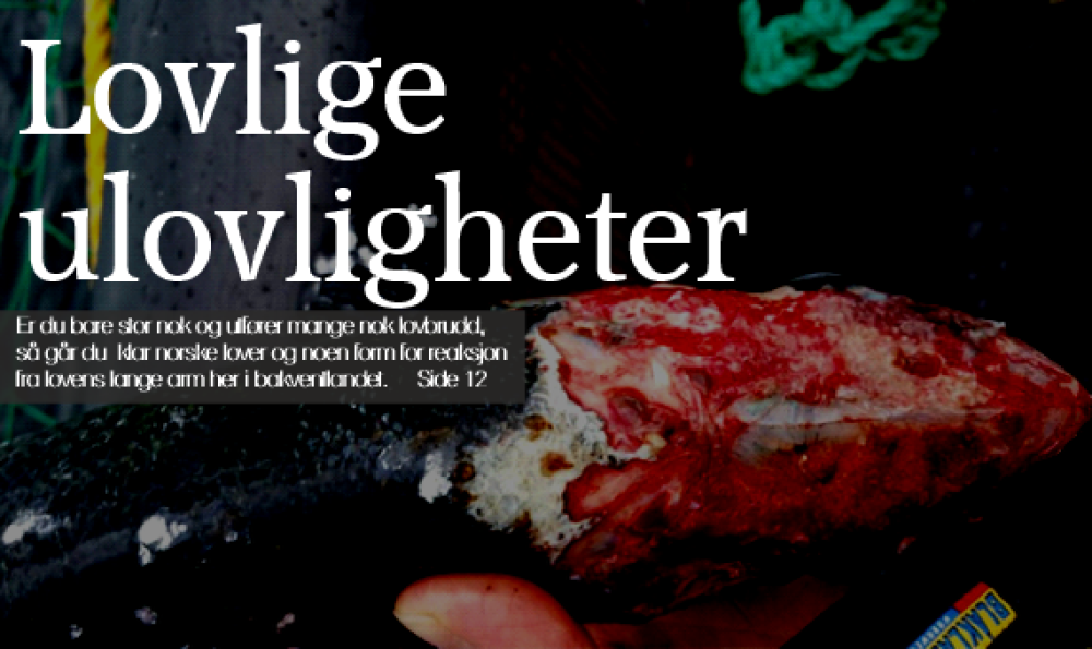 En lusespist laks, (helt inn til hodebeinet) fra Langskjæra. (Lerøy- Midt anlegget på Frøya).							Foto: Mattilsynet